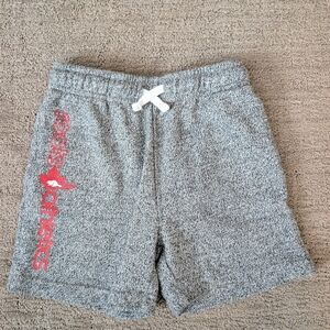 Roots Gray Kids Shorts with Red Logo